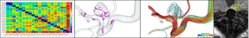 AG Neyazi_KCHN_UMMD_2
